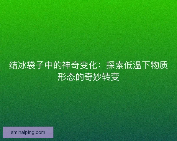 结冰袋子中的神奇变化：探索低温下物质形态的奇妙转变