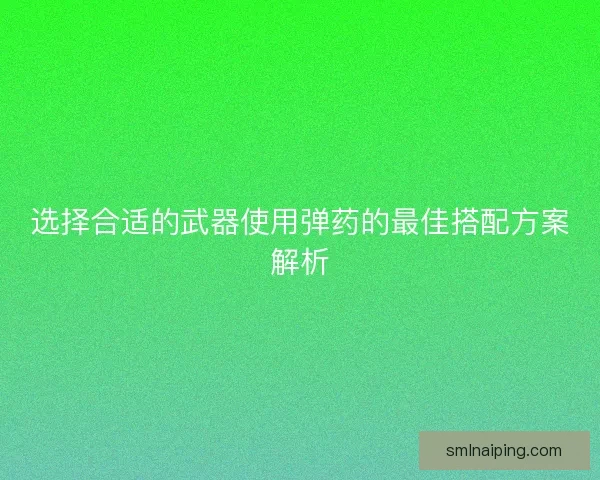 选择合适的武器使用弹药的最佳搭配方案解析