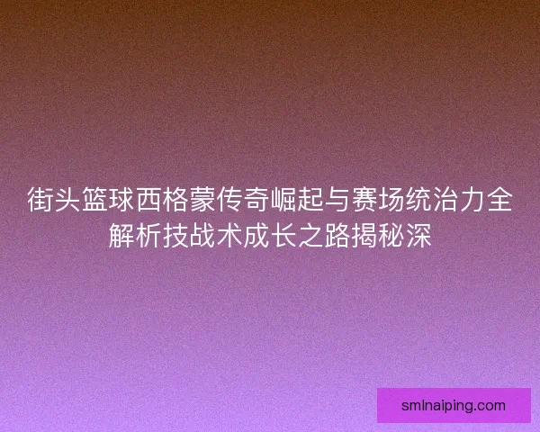 街头篮球西格蒙传奇崛起与赛场统治力全解析技战术成长之路揭秘深
