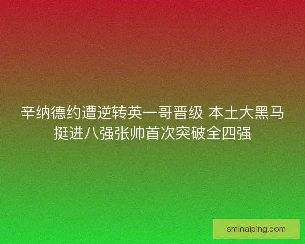 辛纳德约遭逆转英一哥晋级 本土大黑马挺进八强张帅首次突破全四强