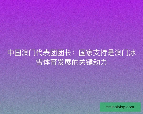 中国澳门代表团团长：国家支持是澳门冰雪体育发展的关键动力