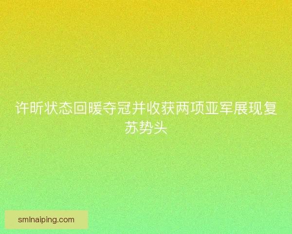 许昕状态回暖夺冠并收获两项亚军展现复苏势头